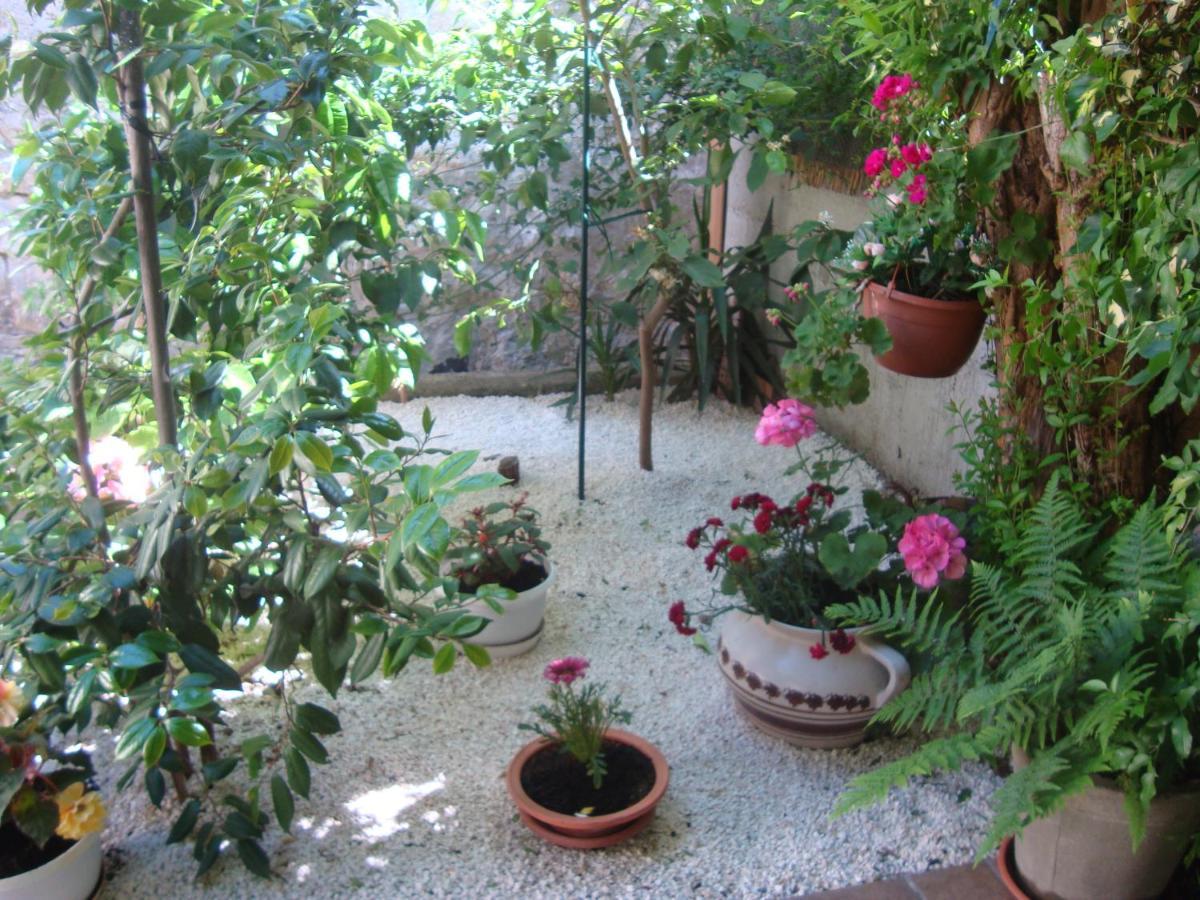 טרסטניק Studio Apartment Lile מראה חיצוני תמונה